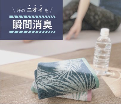 エアリネス